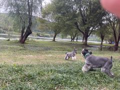 -长广溪湿地公园