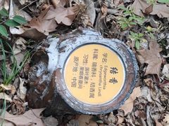 -徐家汇源景区-衡山公园