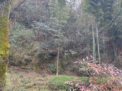 -杭州半山国家森林公园