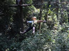 -西双版纳原始森林公园