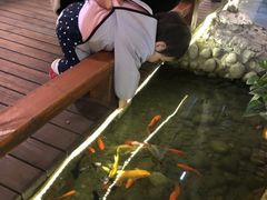大堂-三道苗苗鱼·美蛙黄辣丁(八里店)