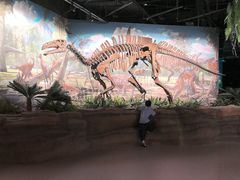 -辽宁古生物博物馆