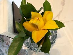 -怡廊(上海漕河泾万丽酒店)