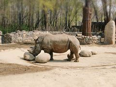 -北京野生动物园