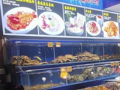 -鹊华居·地道鲁菜·海鲜·融合味(大明湖店)