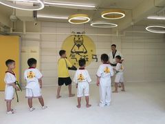 -勇气斑马·巴西柔术&跆拳道(浦东三林店)