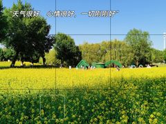 -长白岛森林公园