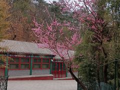 -红螺寺