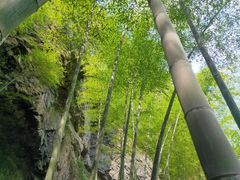 -湖州龙王山景区
