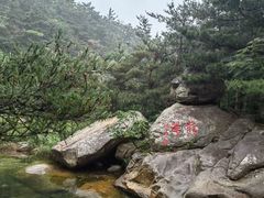 -无染寺