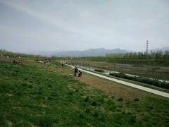 -洨河生态公园