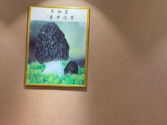 -菌之家·专业纯野生菌火锅·特色炒菌