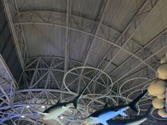 -烟台海昌鲸鲨海洋公园