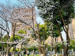 -堤角公园