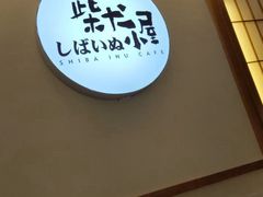 -柴犬小屋·柴餐厅·狗咖食堂(金鼎广场店)