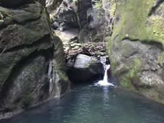 -黑河国家森林公园