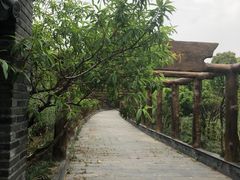 -南汇桃花村