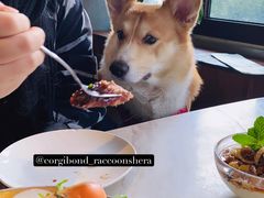 -the rug 飞毯 (朝阳公园店)