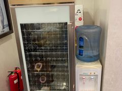 -宠爱国际动物医院·消化内科·心肾内科·ISFM猫友好(望京店)
