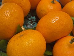 -峰厨大鱼泡饼(西青大学城店)