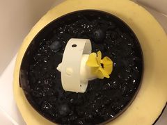 -苏州洲际酒店·大堂酒廊