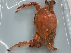 -庆山饭店·海鲜饺子家常菜(北戴河黑石路店)