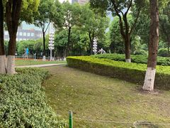 -重庆市江北嘴中央商务区中央公园