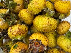 -高荡千年布依古寨旅游景区