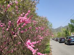 -玉渡山自然风景区