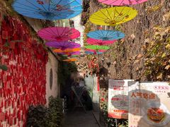 -鱼食饭稻·苏浙土菜17年老馆子(平江路店)