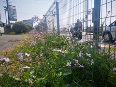 -灌篮高手动画打卡地