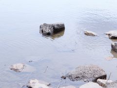-长春净月潭风景名胜区