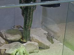 -海合安青岛极地海洋公园