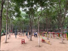 -草根堂农场