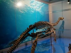 -自贡恐龙博物馆