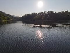 -国恩寺