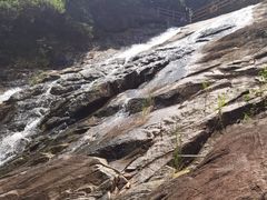 -广州白江湖森林公园