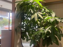 -李先生牛肉面大王(华联商厦店)
