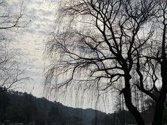 -常德桃花源景区