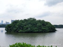 -海珠湖公园