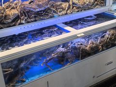 -真情鲍鱼海鲜汤