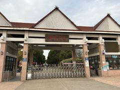 -上海都市菜园