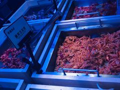 -盛江山自助料理(太原街万达店)