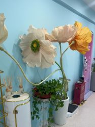 -斐尔国际皮肤管理中心