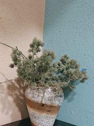 -香秀空间科技抗衰·美容中心