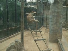 android_upload_pic-石家庄市动物园