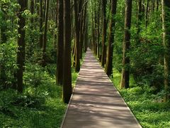-同里国家湿地公园