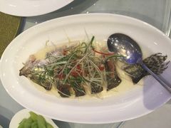 新花城潮胜酒楼-新花城蟹粉馆(乌鲁木齐店)