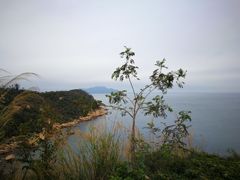-东澳岛