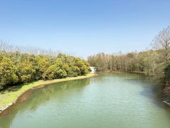 -上海海湾国家森林公园